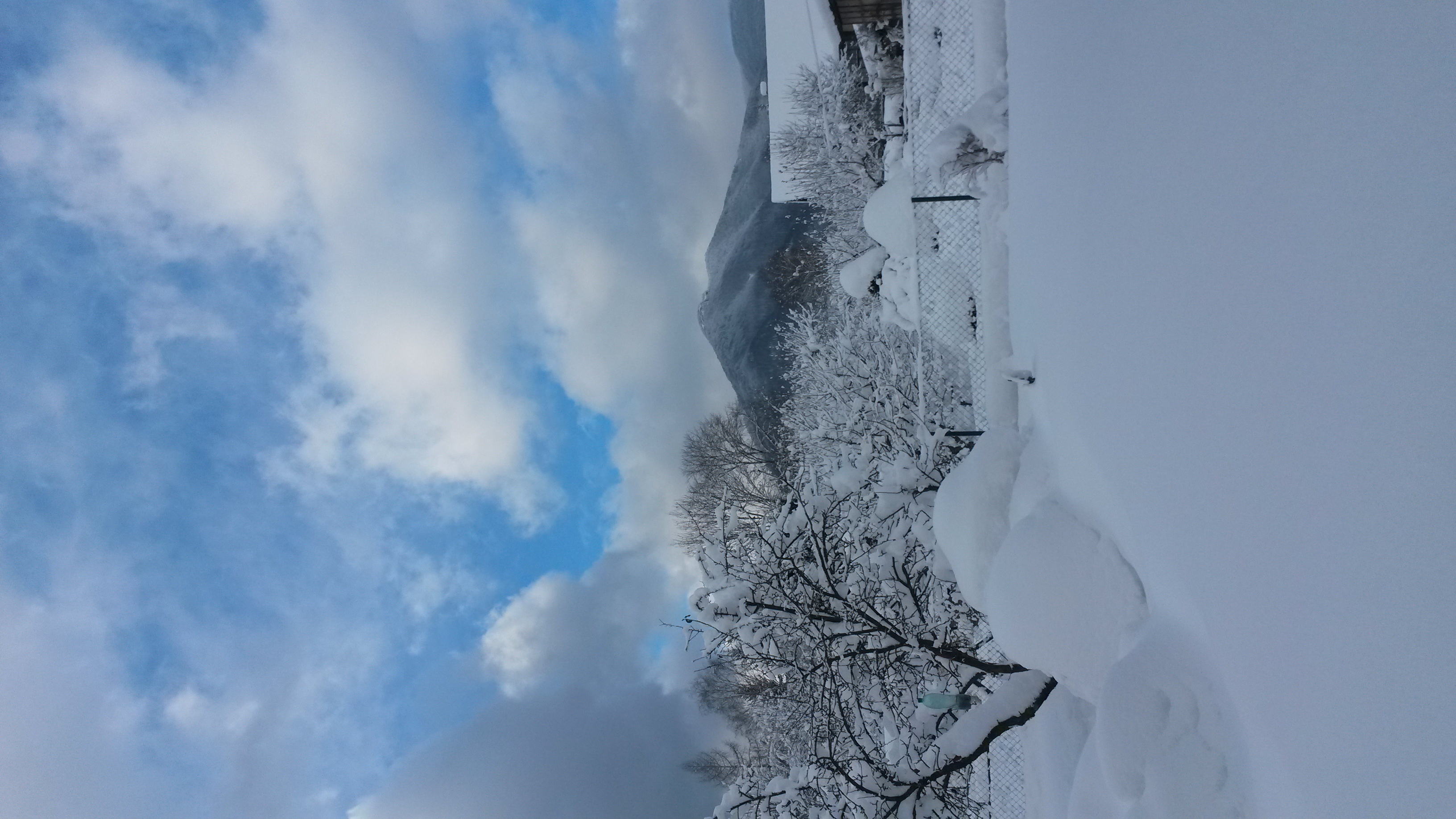 20150131_131211