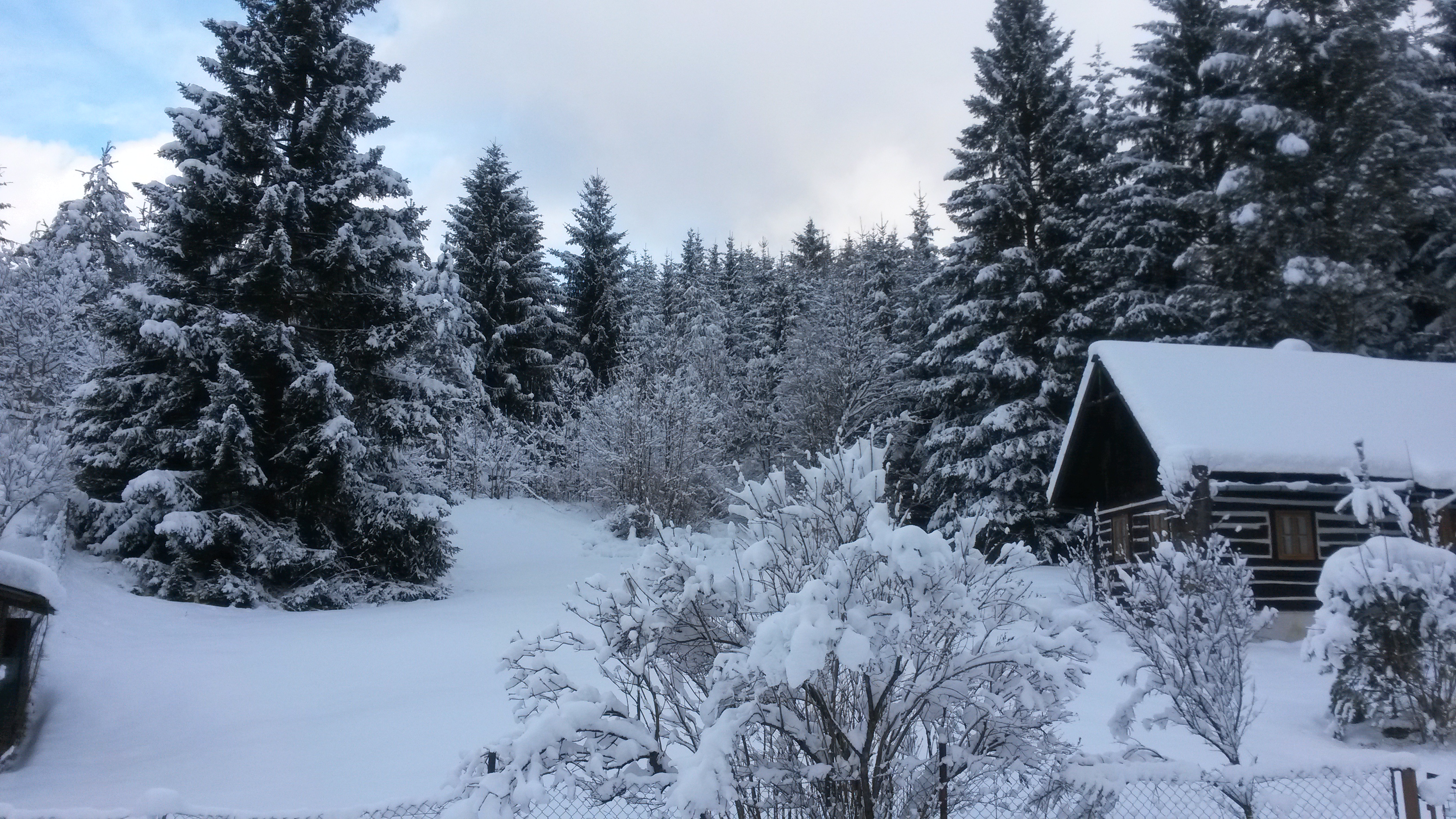 20150131_131856