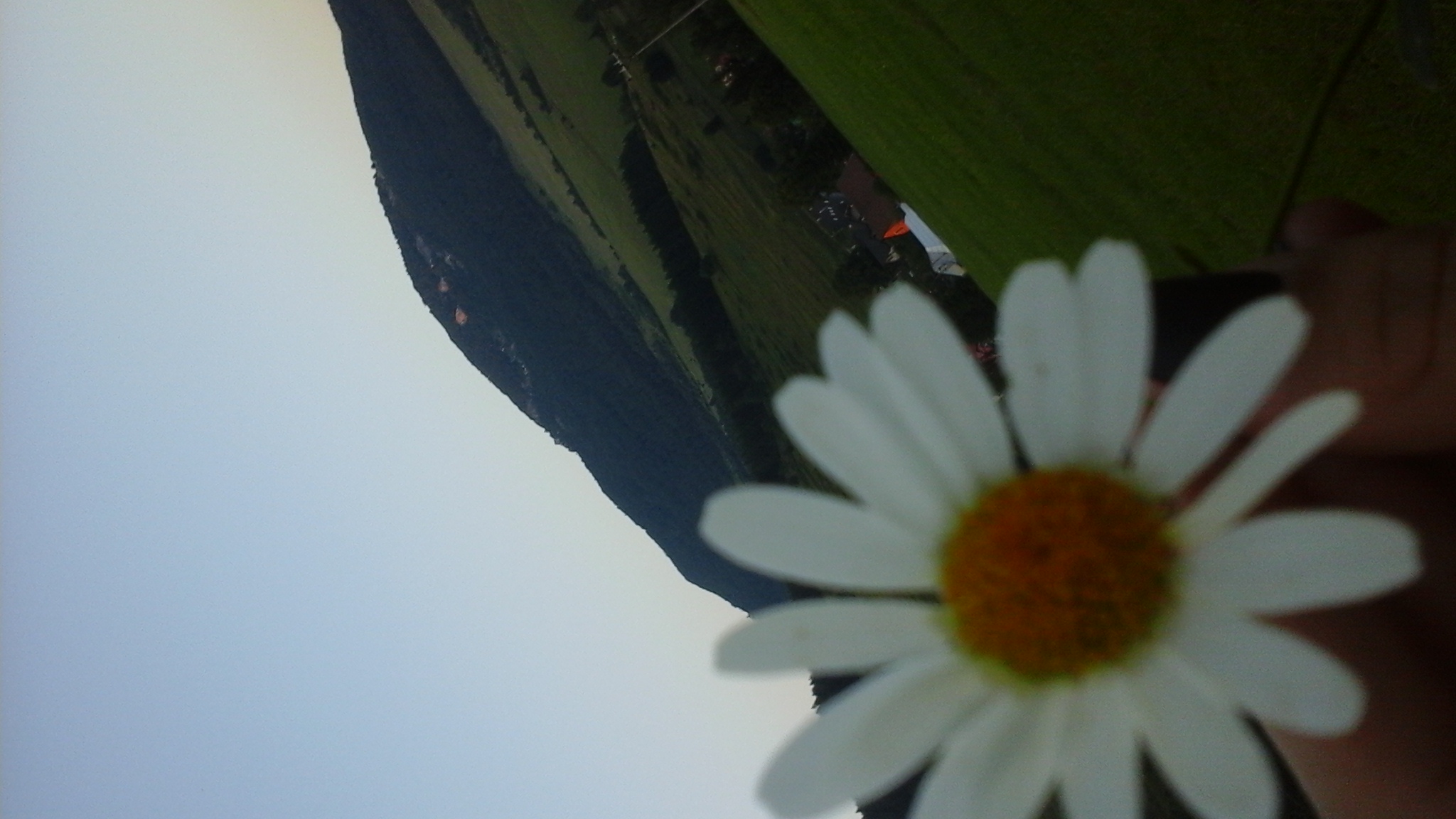 20150701_202010